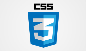 CSS3 Logo